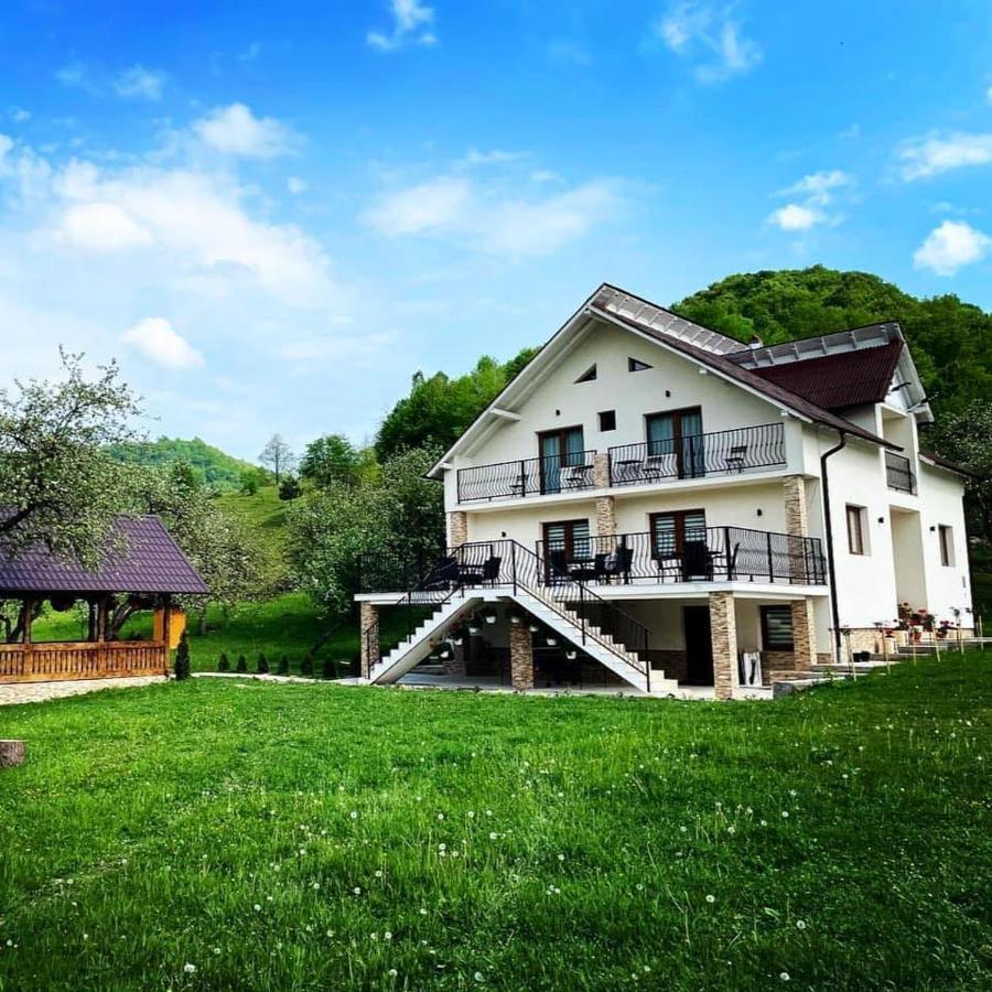 Pensiunea Hai In Maramures Birsana Экстерьер фото